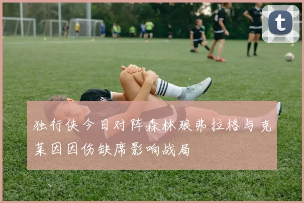 独行侠今日对阵森林狼弗拉格与克莱因因伤缺席影响战局