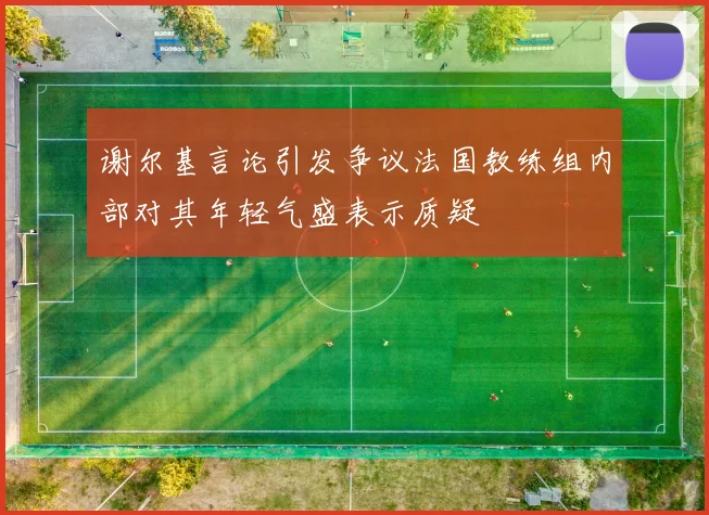 谢尔基言论引发争议法国教练组内部对其年轻气盛表示质疑